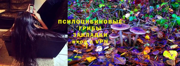 хмурый Слюдянка