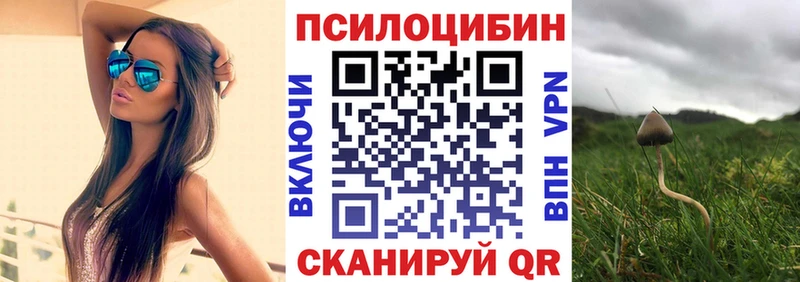 Псилоцибиновые грибы мицелий  Белозерск 